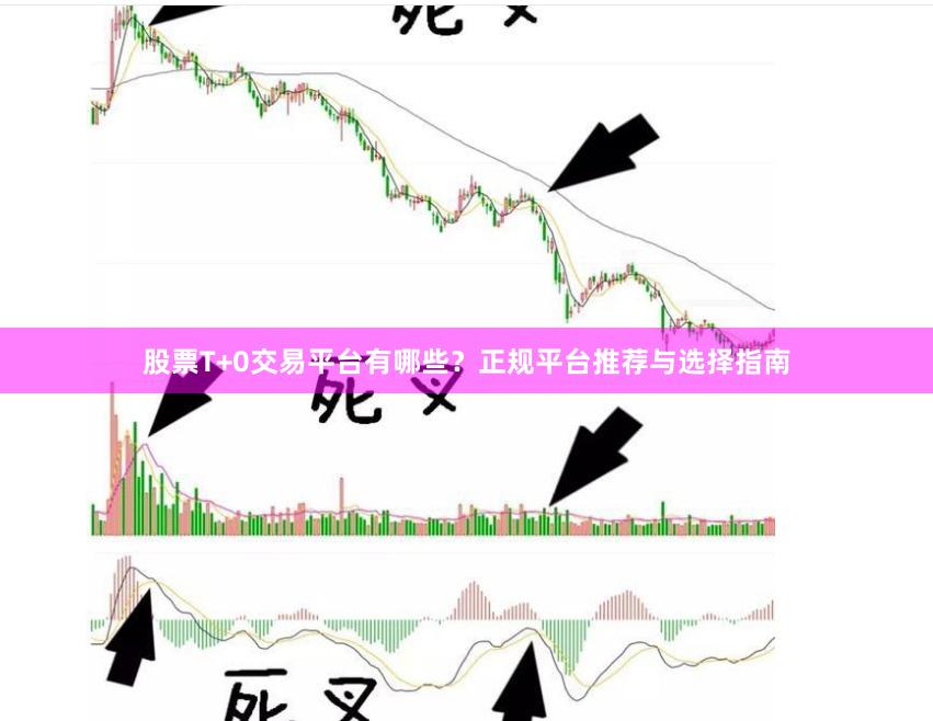 股票T+0交易平台有哪些？正规平台推荐与选择指南